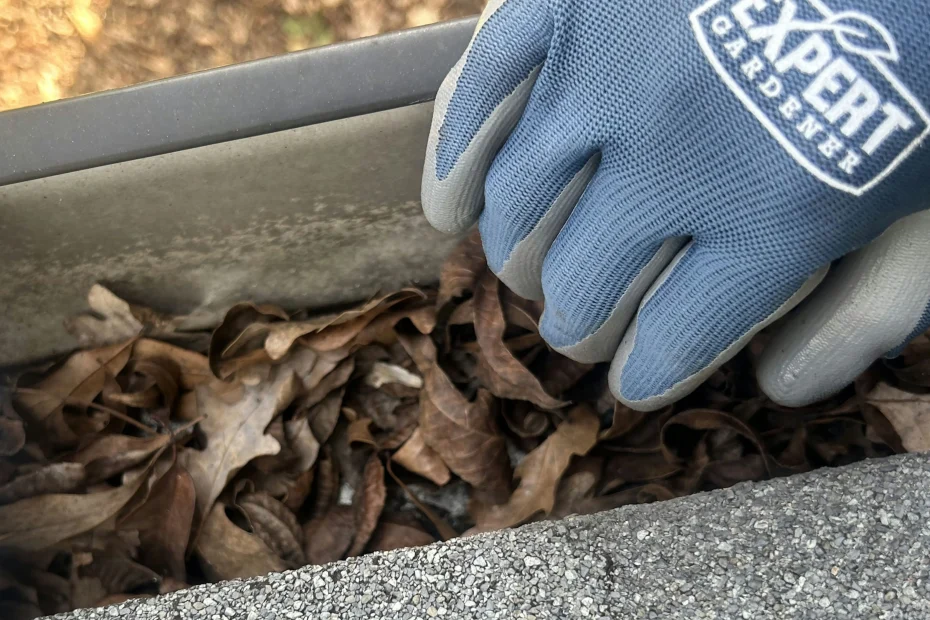 Gutter Cleaning Youngsville